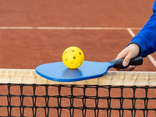 mean in pickleball