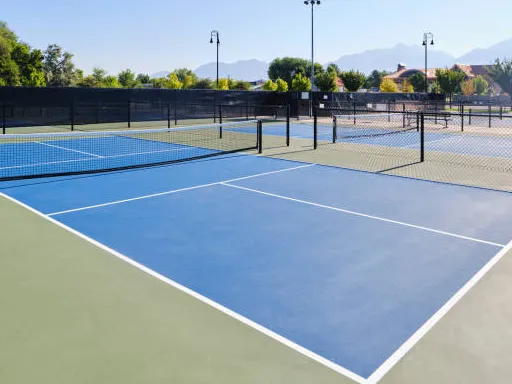 Court Dimensions
